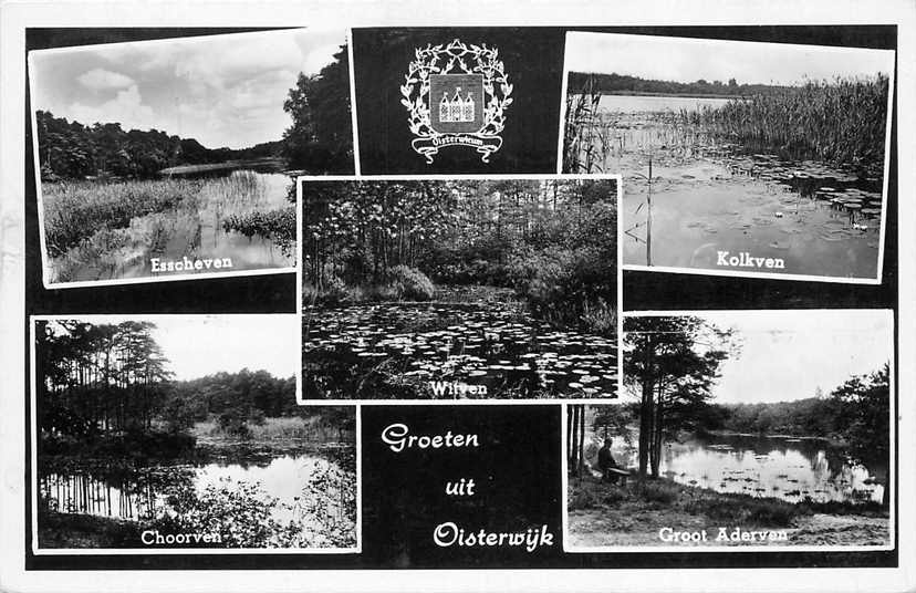 Oisterwijk Multiview