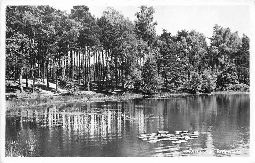 Oisterwijk Brouwkuip