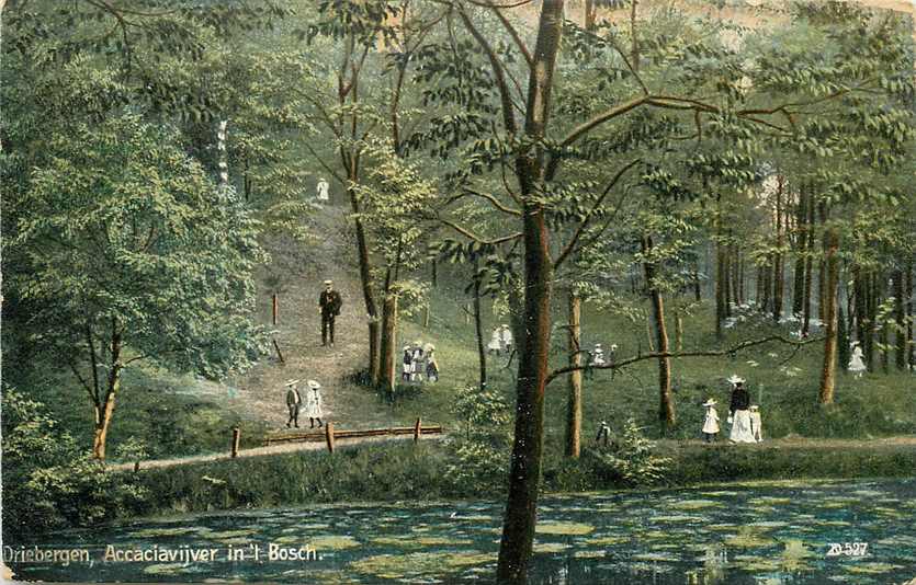 Driebergen Acaciavijver in t Bosch