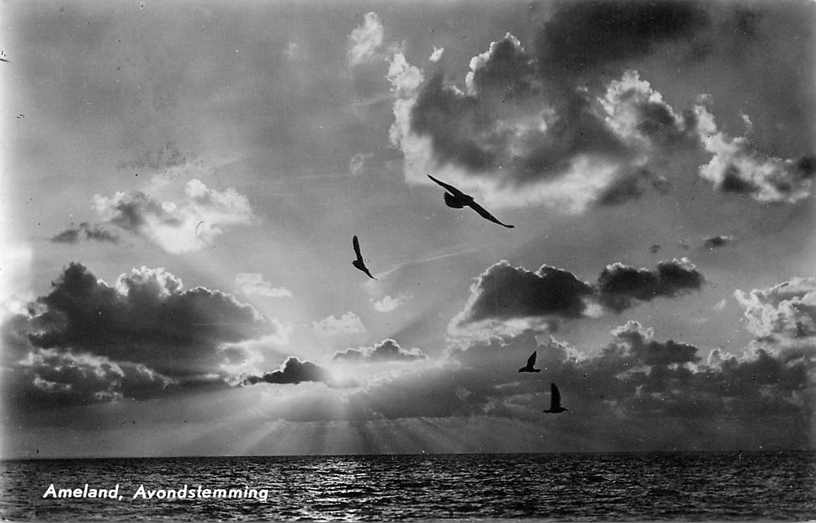 Ameland Avondstemming