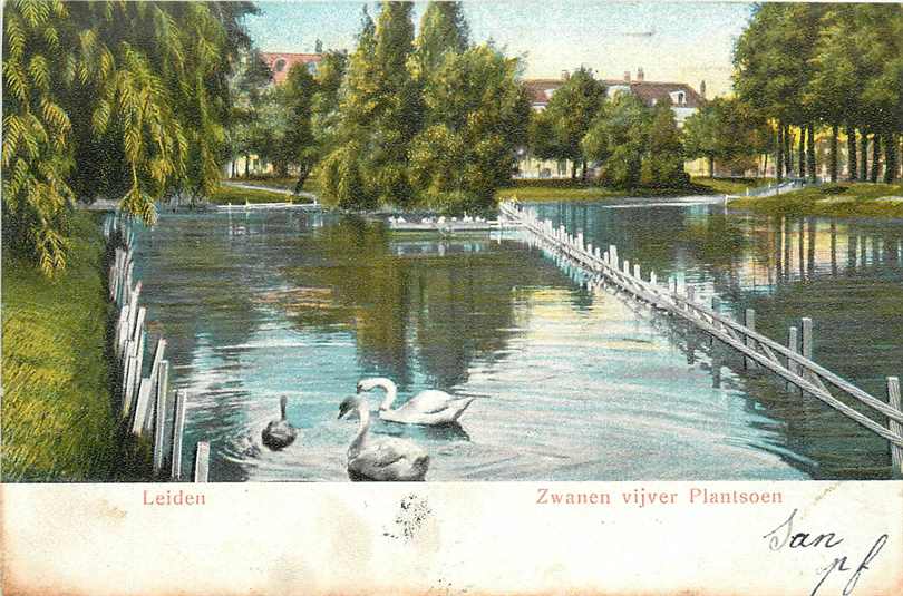 Leiden Zwanen Vijver Plantsoen