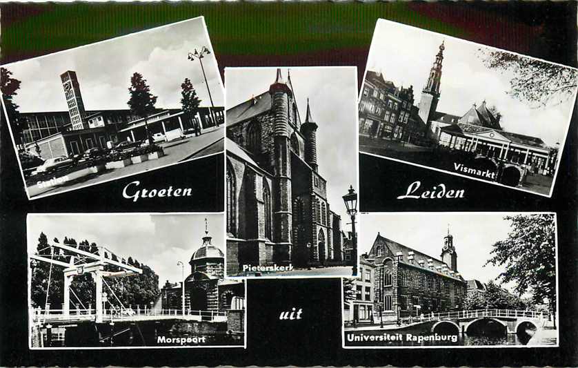 Leiden Multiview