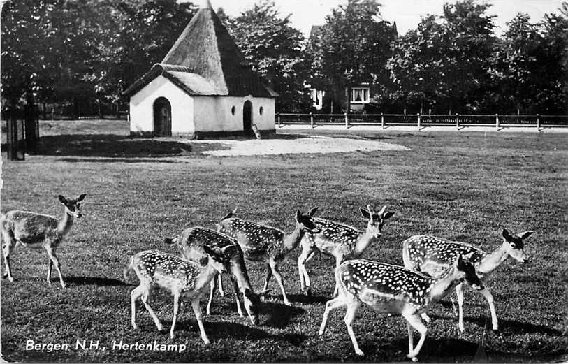 Bergen NH Hertenkamp