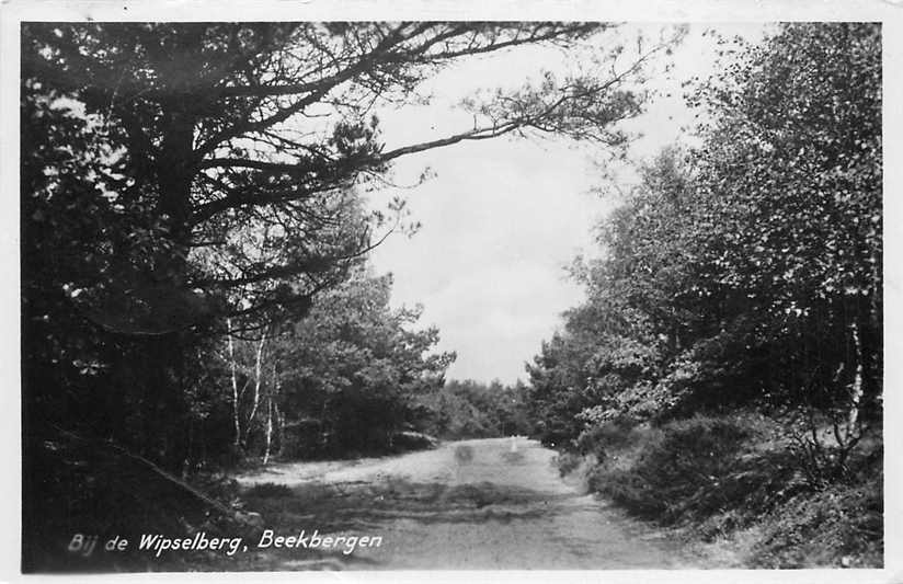 Beekbergen Bij de Wipselberg