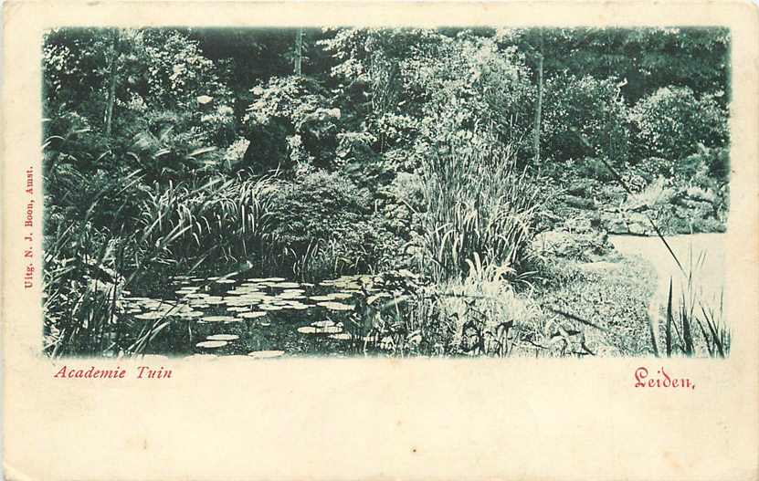 Leiden Academie Tuin