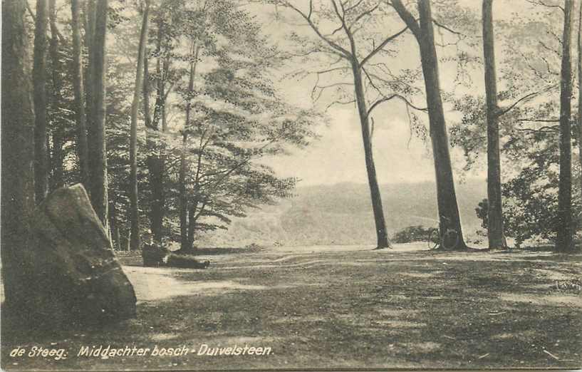 De Steeg Duivelsteen Middachter Bosch