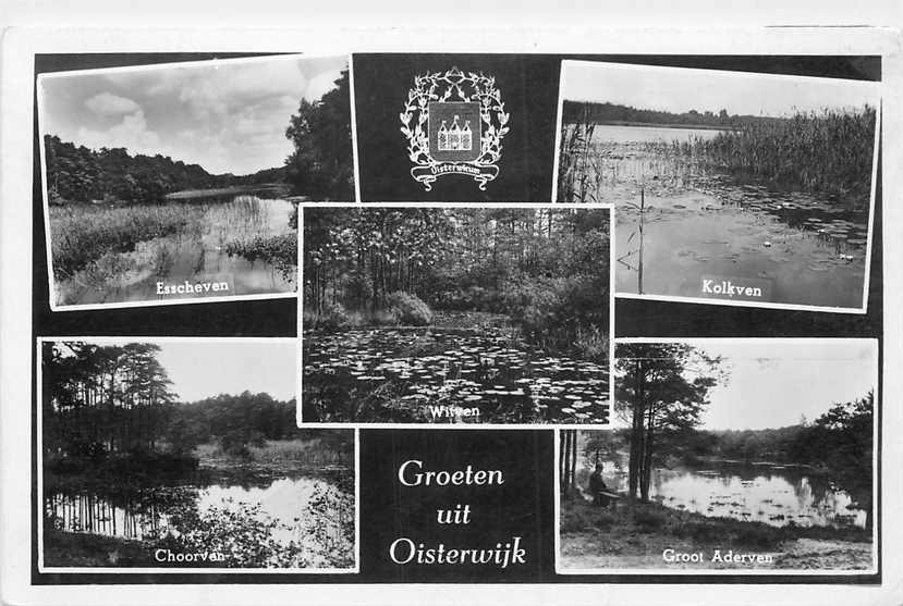 Oisterwijk Multiview