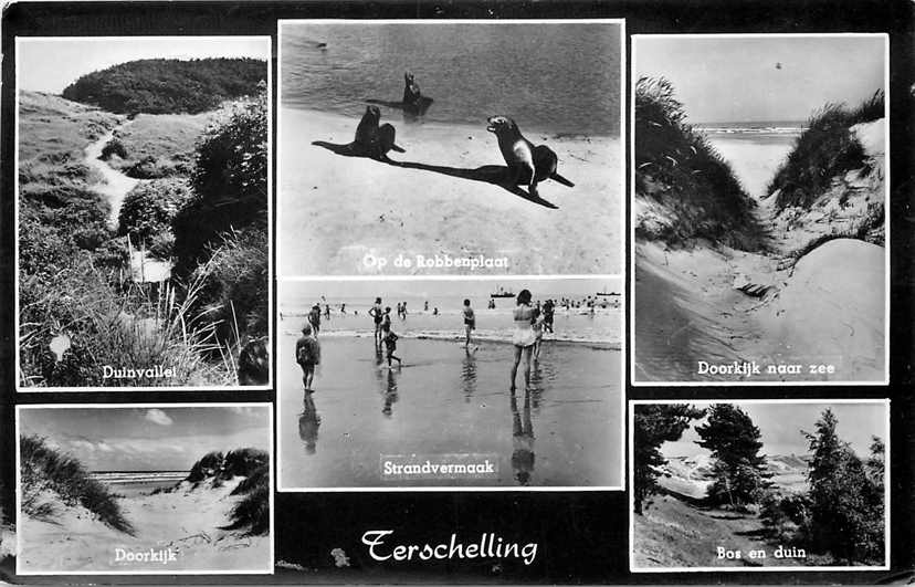 Terschelling Multiview