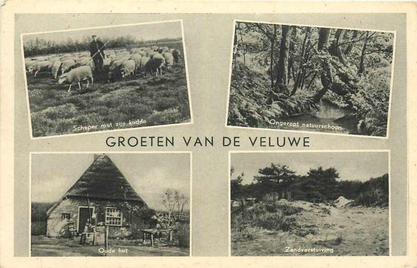 De Veluwe