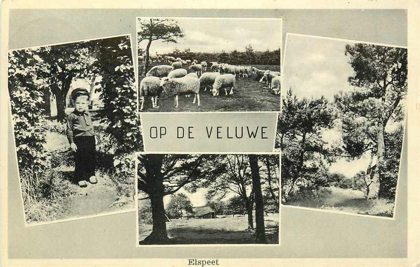 De Veluwe Elspeet