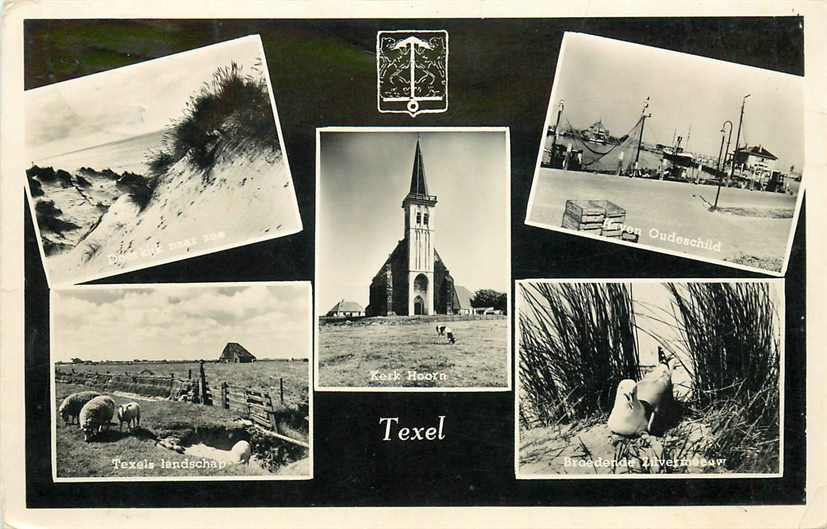 Texel Multiview