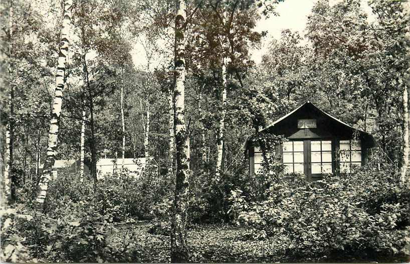 Doorn  Het Grote Bos