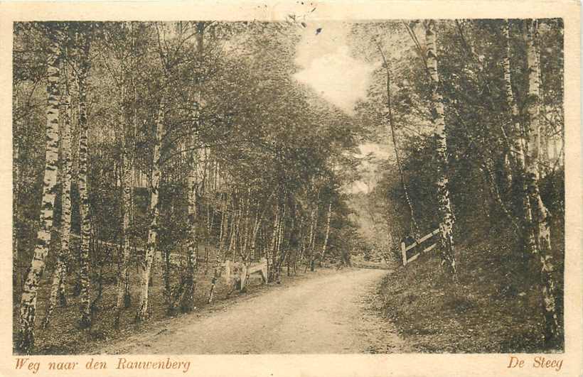 De Steeg Weg naar den Rauwenberg