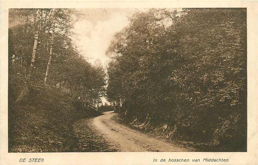 De Steeg In de Bosschen van Middachten