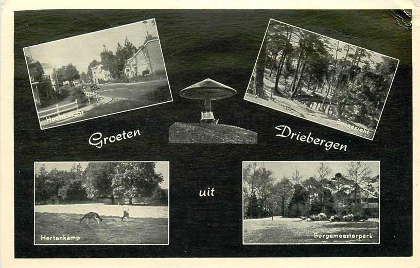 Driebergen Multiview