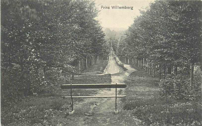 De Steeg Prins Willemberg