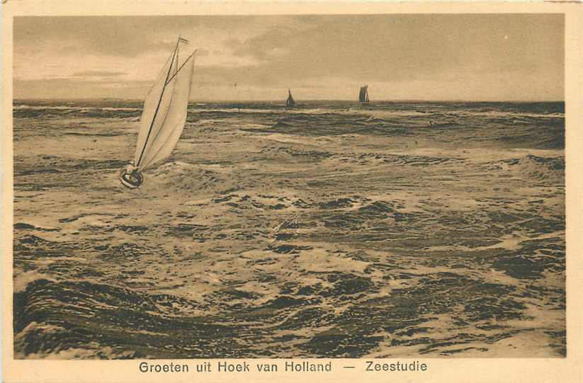 Hoek van Holland Zeestudie