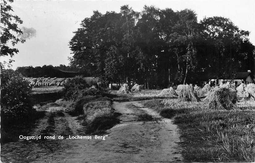 Lochem Oogsttijd Lochemse Berg