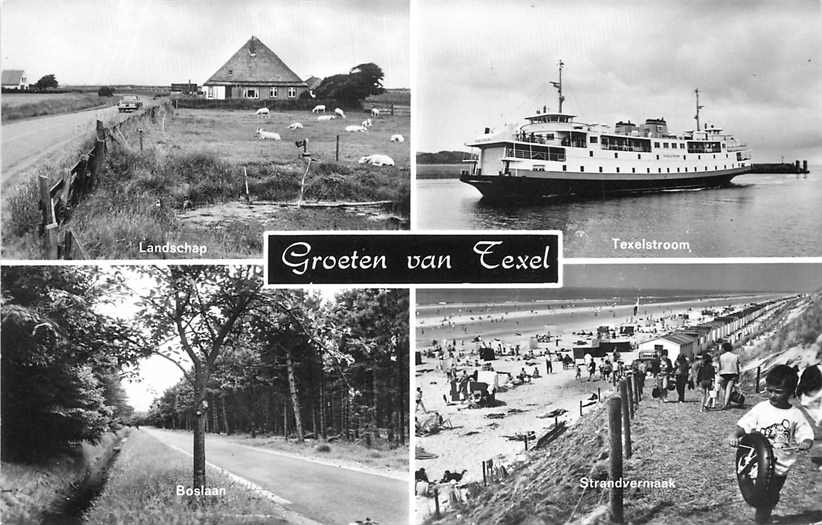 Texel Multiview