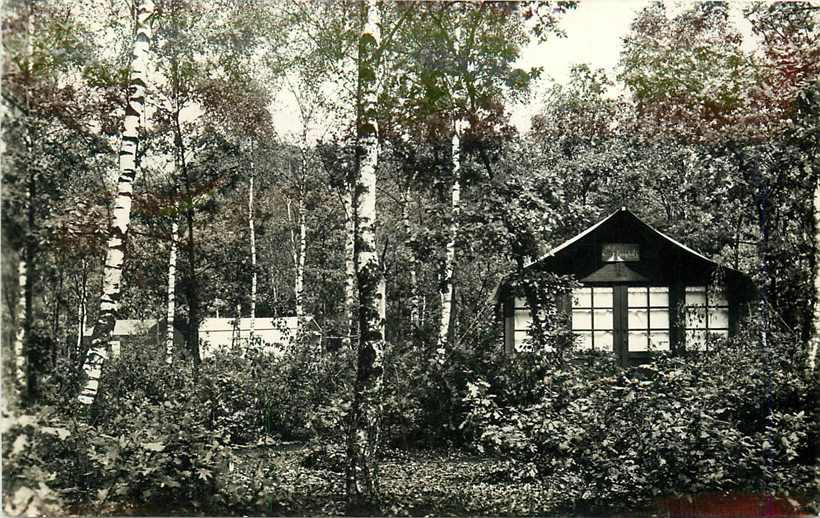 Doorn Het Grote Bos