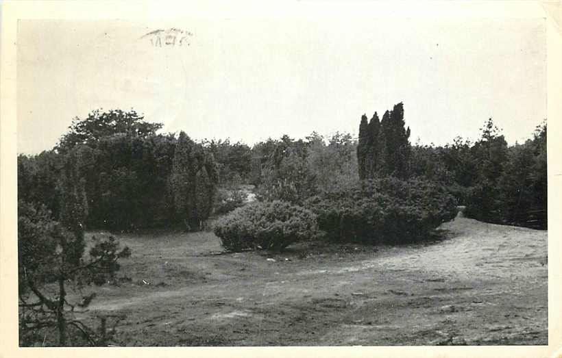 Nieuw-Milligen Rabbit-Hill