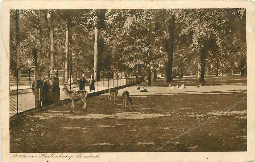 Arnhem Hertenkamp Sonsbeek