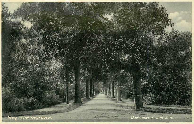 Oostvoorne Weg in het Overbosch