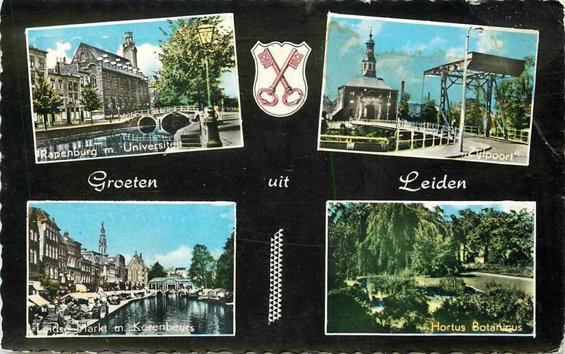 Leiden Multiview