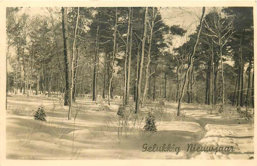 Gelukkig Nieuwjaar