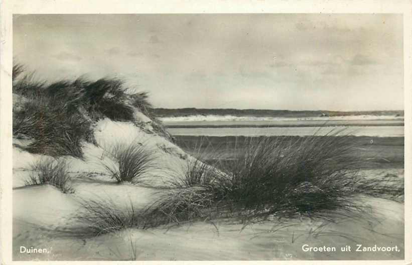 Zandvoort Duinen