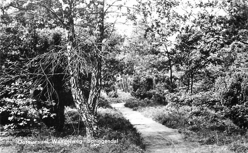 Ootmarsum Wandelweg Springendal