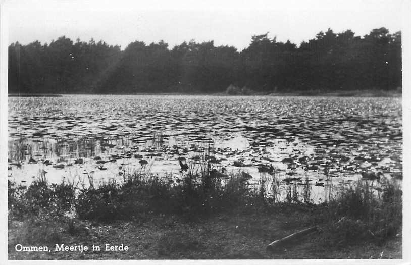 Ommen Meertje in Eerde