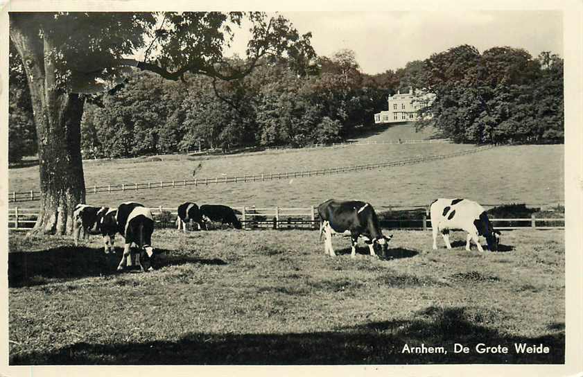 Arnhem De Grote Weide