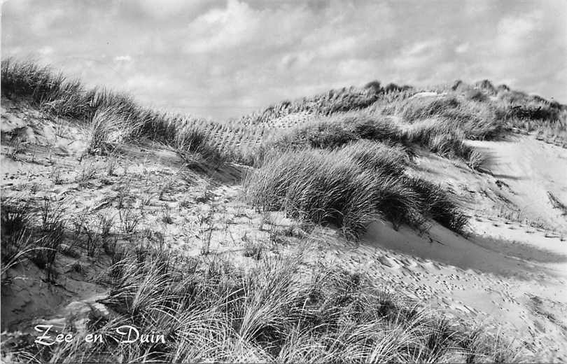 Noordwijk aan Zee De Branding