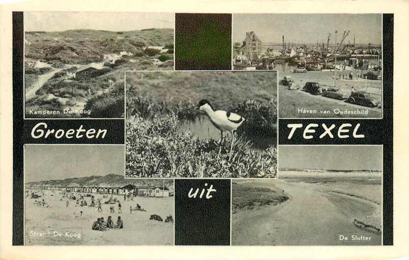 Texel