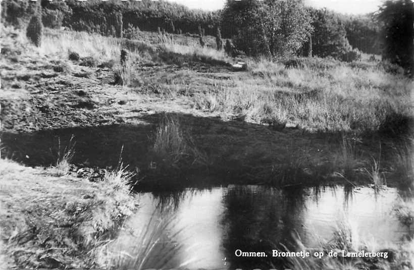 Ommen  Bronnetje op de Lemelerberg