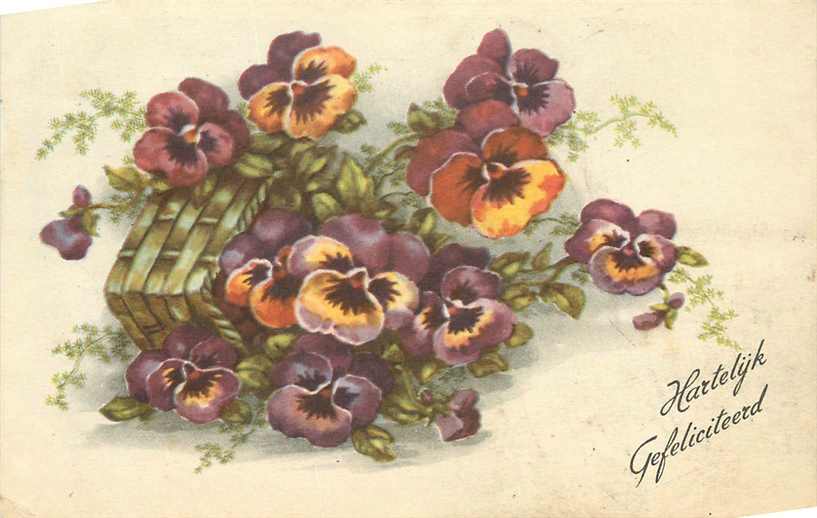 Hartelijk Gefeliciteerd