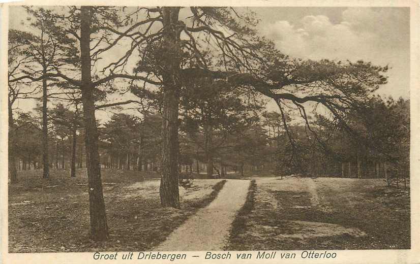 Driebergen Bosch van Moll van Otterloo