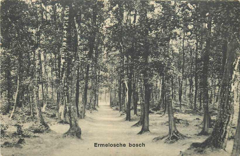 Ermelo Ermelosche Bosch