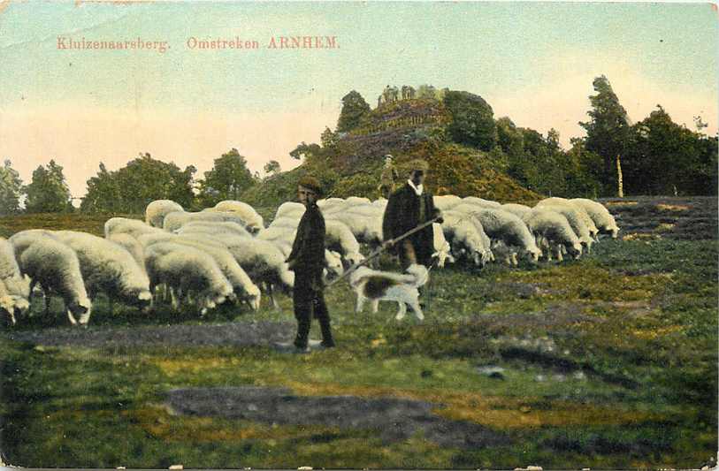 Velp Kluizenaarsberg