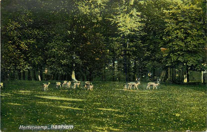 Haarlem Hertenkamp