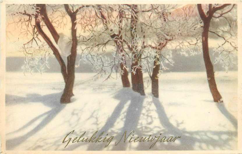 Gelukkig Nieuwjaar