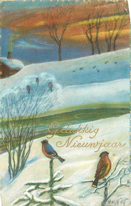 Gelukkig Nieuwjaar