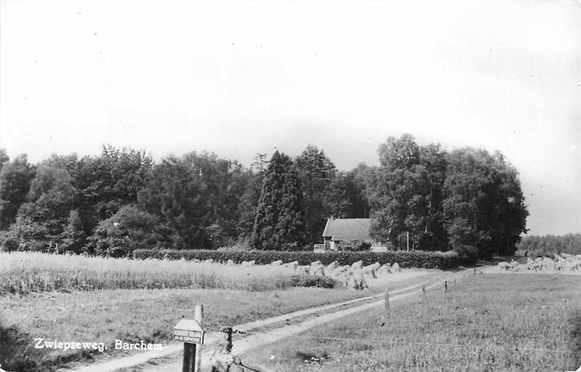 Barchem Zwiepseweg