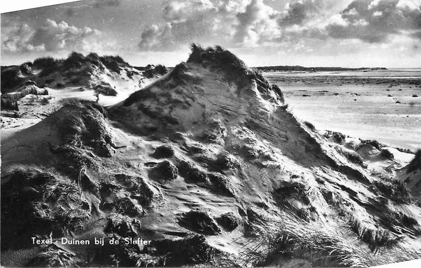 Texel Duinen bij de Slufter