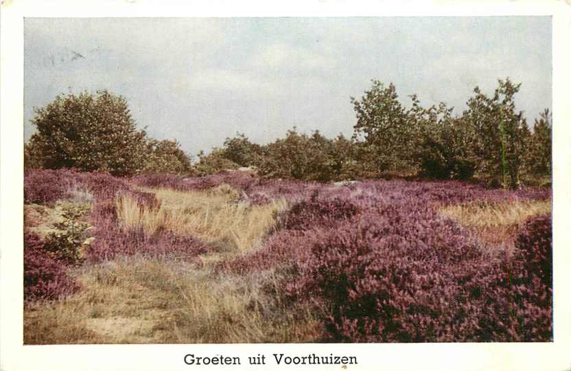 Voorthuizen