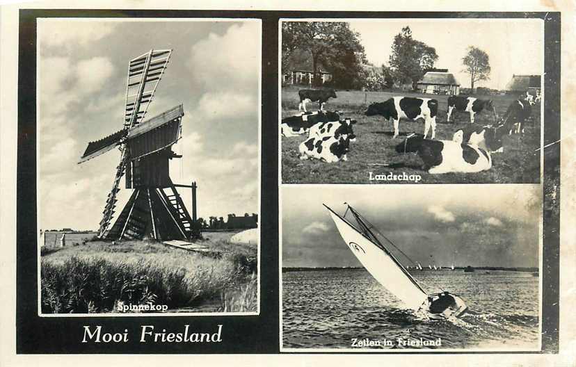 Mooi Friesland