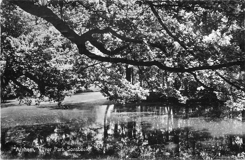 Arnhem Vijver Park Sonsbeek