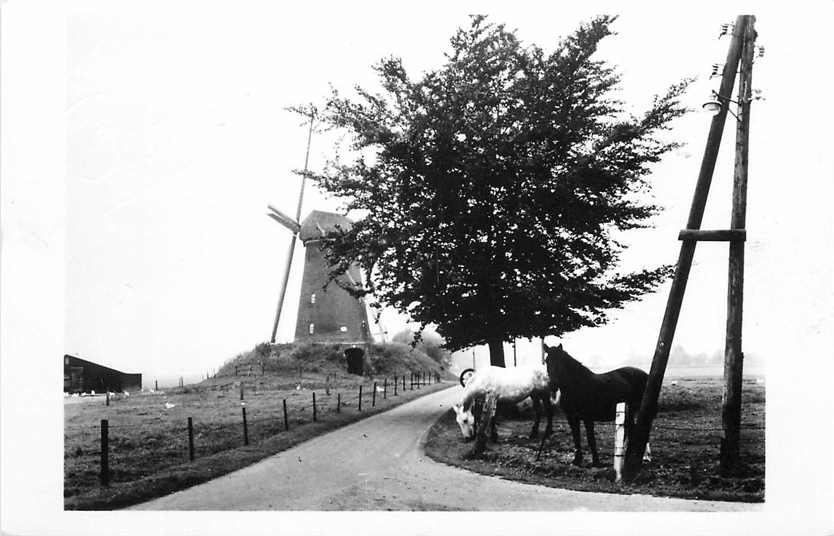 Bronkhorst Dwangmolen