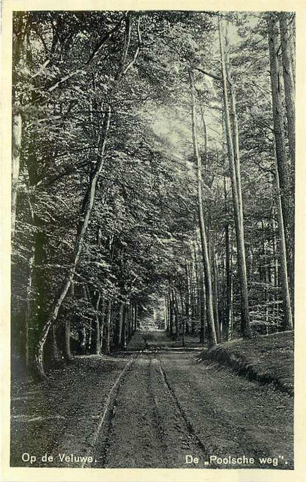 Veluwe De Poolsche Weg